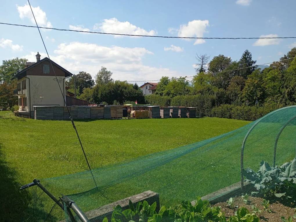 immagine annuncio 5 di 9