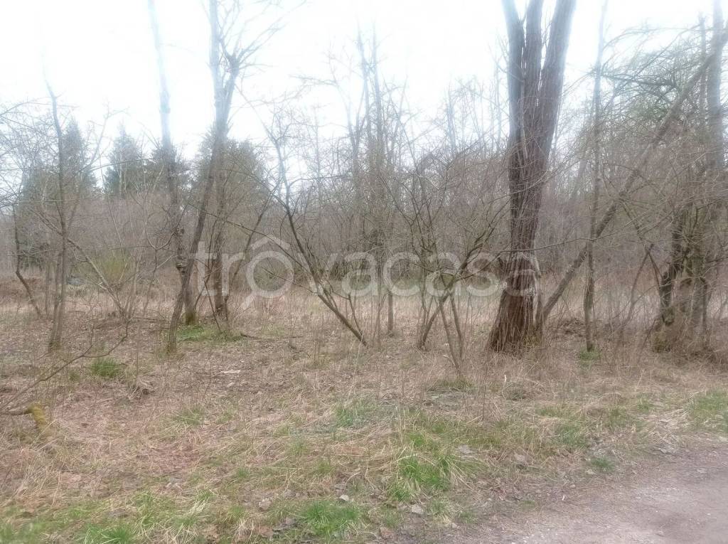 immagine annuncio 9 di 12