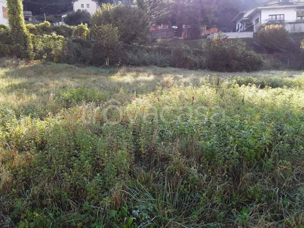 immagine annuncio 7 di 13