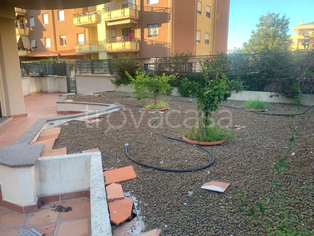 immagine annuncio 10 di 14