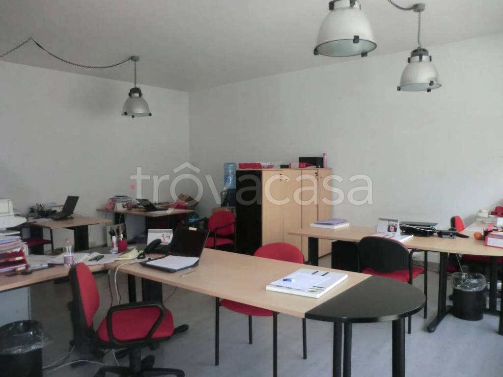 immagine annuncio 1 di 14