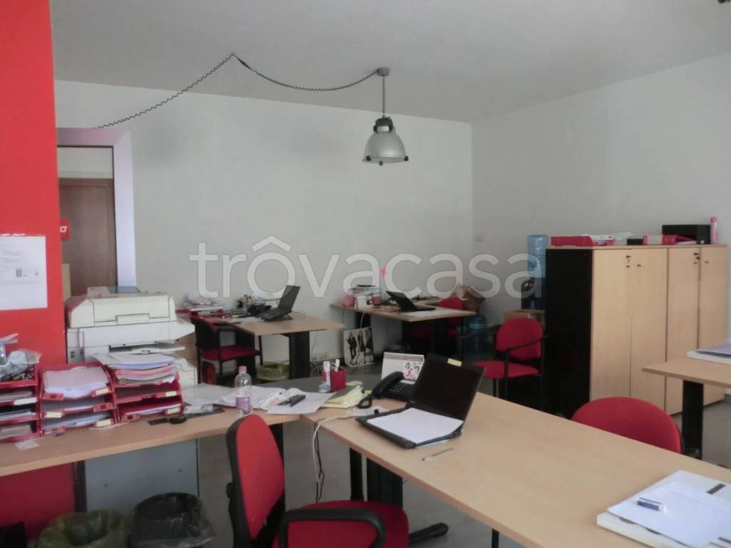 immagine annuncio 3 di 14