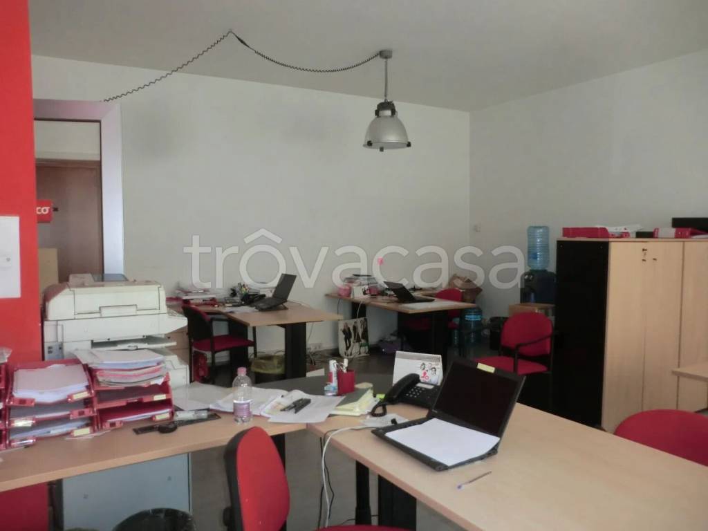 immagine annuncio 4 di 14