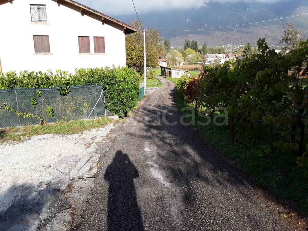 immagine annuncio 11 di 13