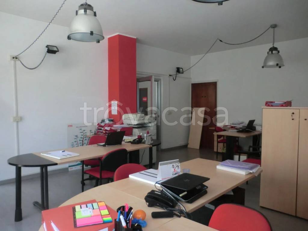 immagine annuncio 5 di 14