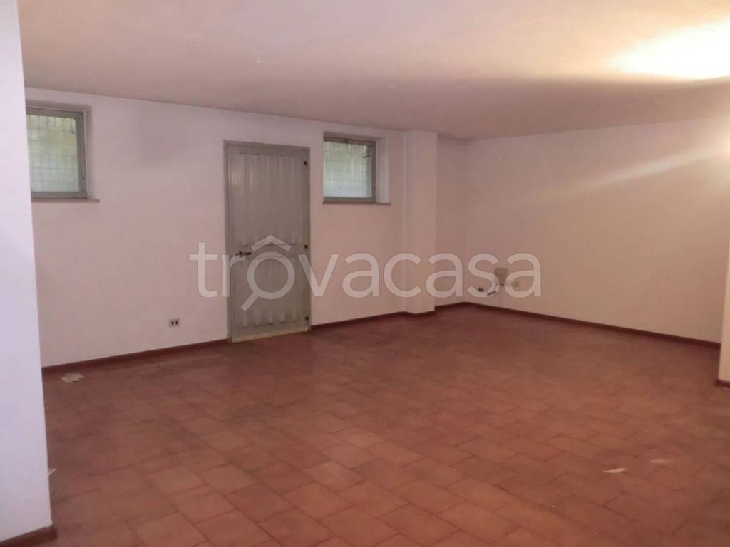 immagine annuncio 12 di 14