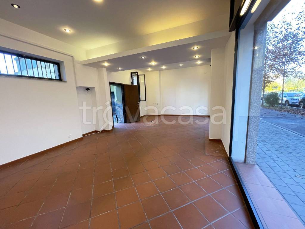 immagine annuncio 2 di 10