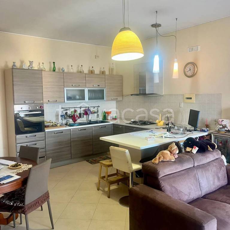 immagine annuncio 2 di 14