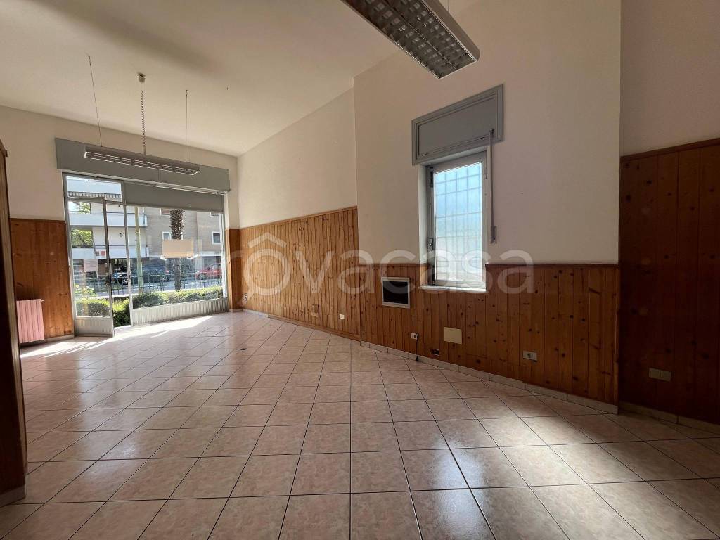 immagine annuncio 5 di 11