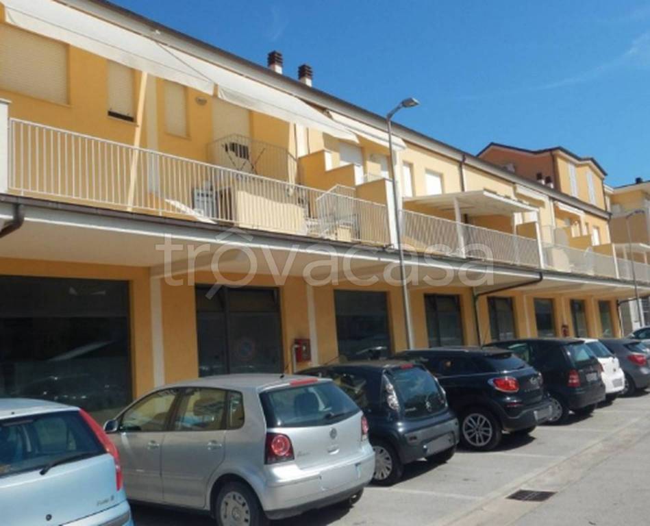 immagine annuncio 11 di 13