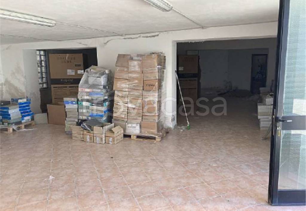 immagine annuncio 6 di 14