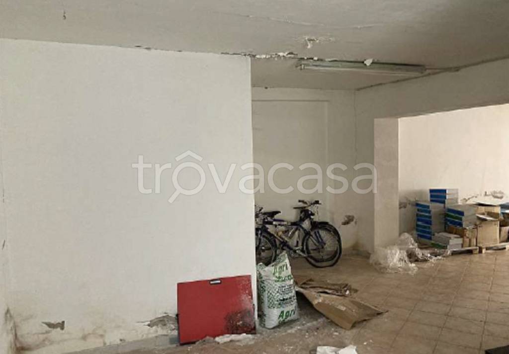 immagine annuncio 10 di 14