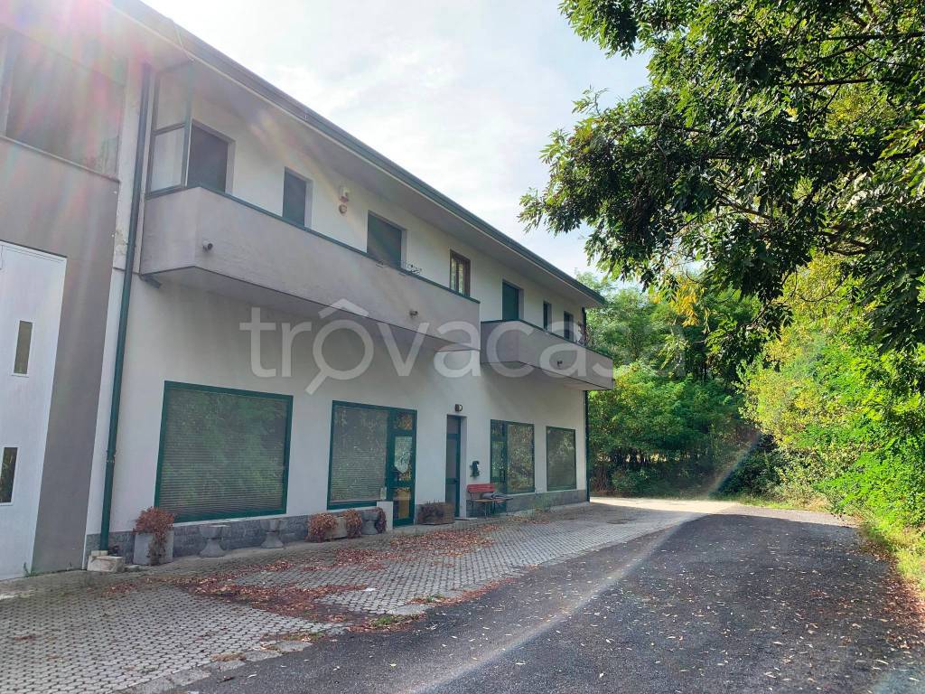 immagine annuncio 1 di 3