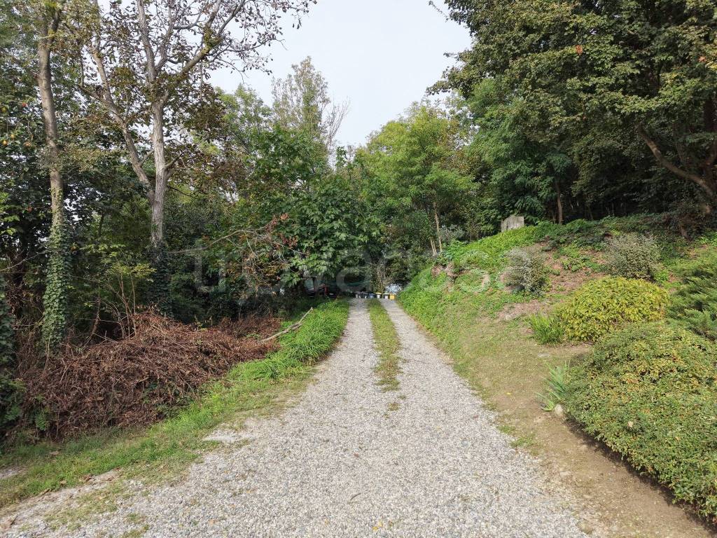 immagine annuncio 8 di 11