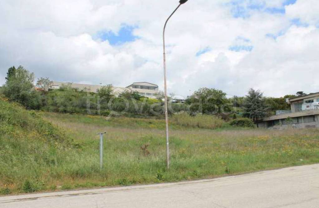 immagine annuncio 5 di 10