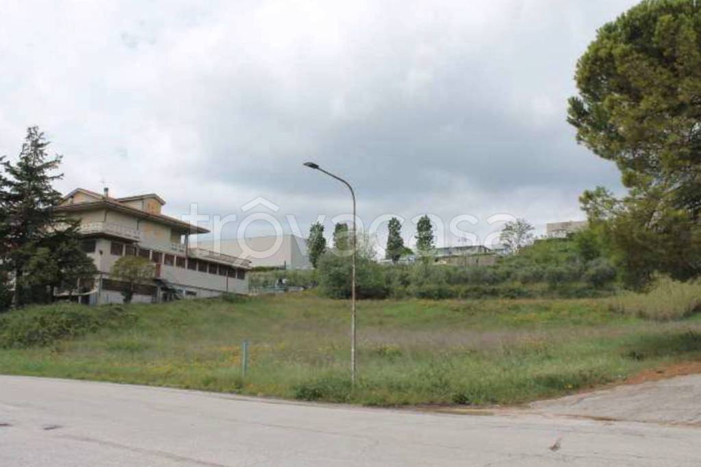 immagine annuncio 6 di 10