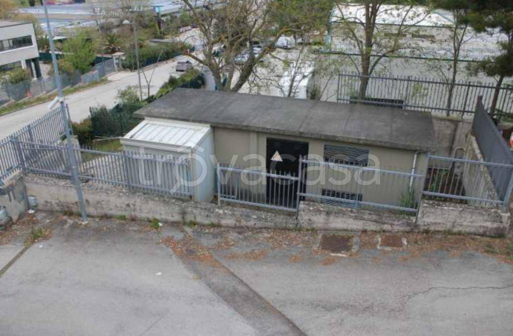 immagine annuncio 4 di 12