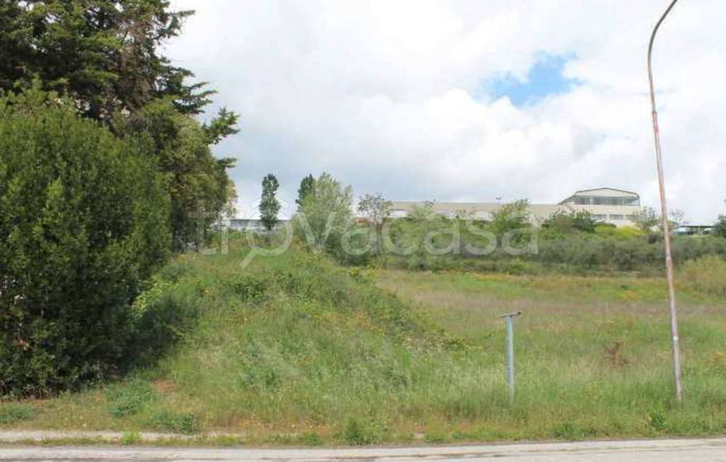 immagine annuncio 7 di 10