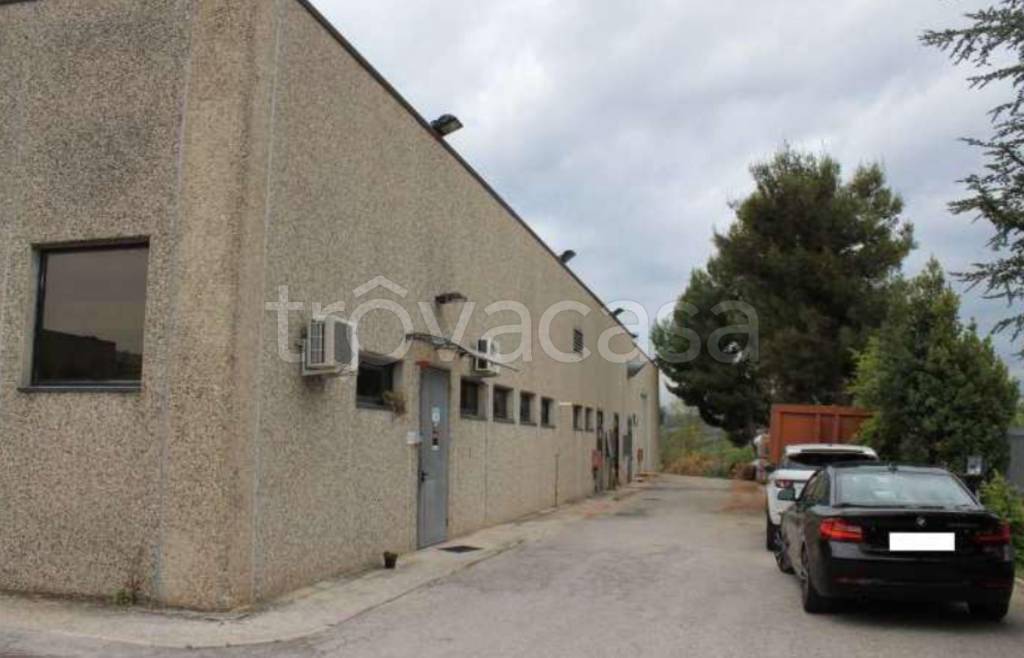 immagine annuncio 5 di 12