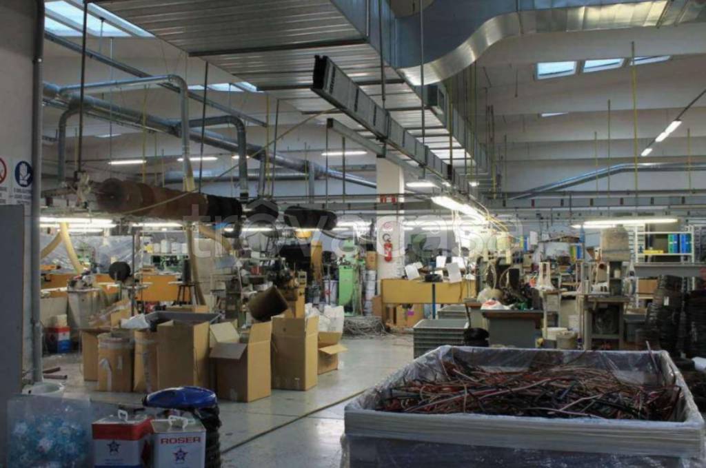 immagine annuncio 7 di 12