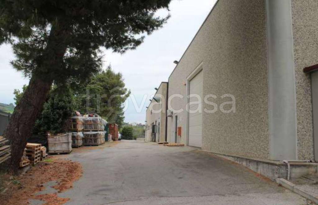 immagine annuncio 8 di 12