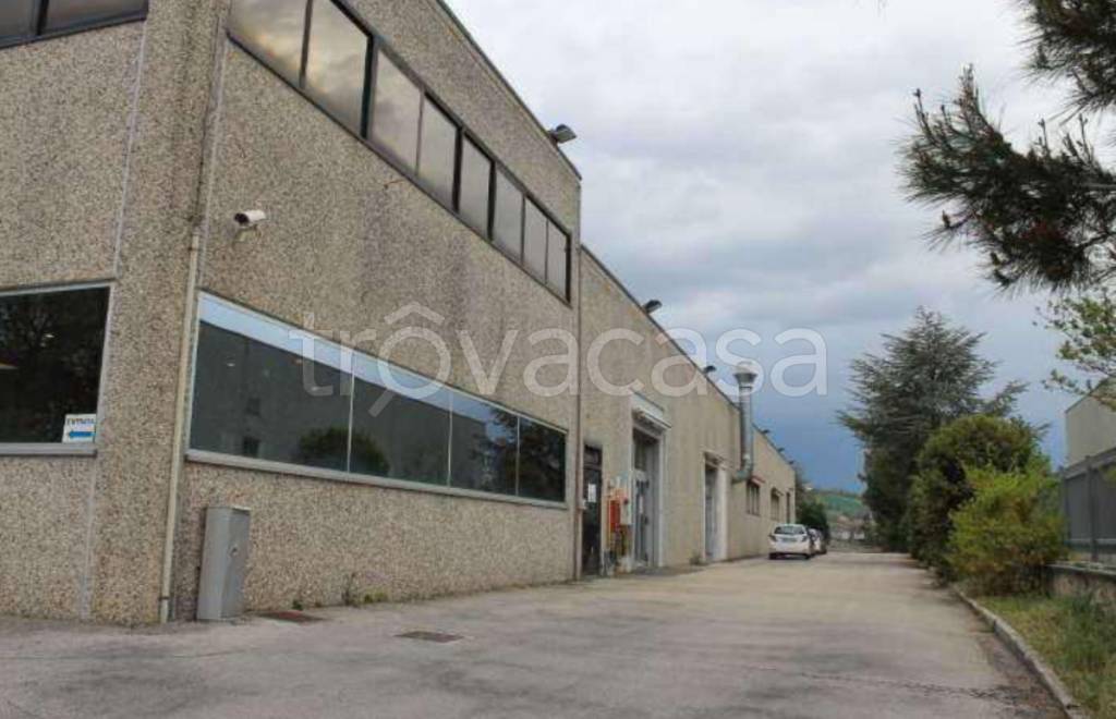 immagine annuncio 9 di 12