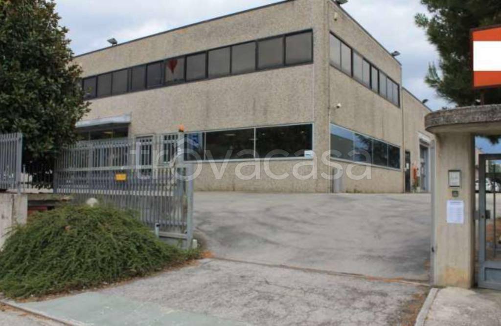 immagine annuncio 10 di 12