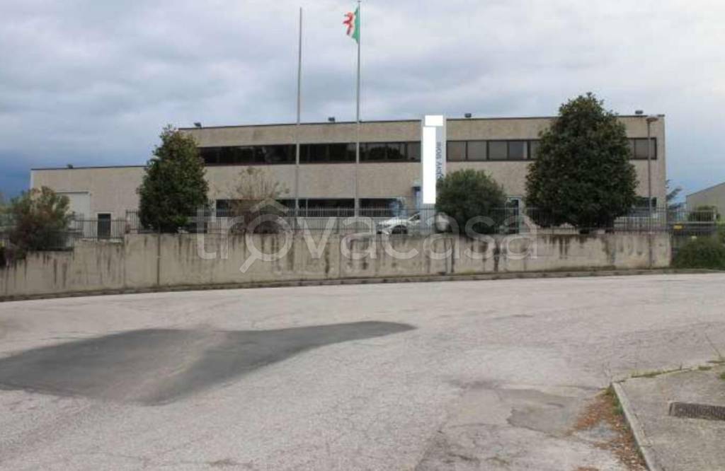 immagine annuncio 11 di 12