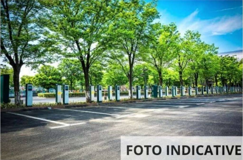 immagine annuncio 4 di 14