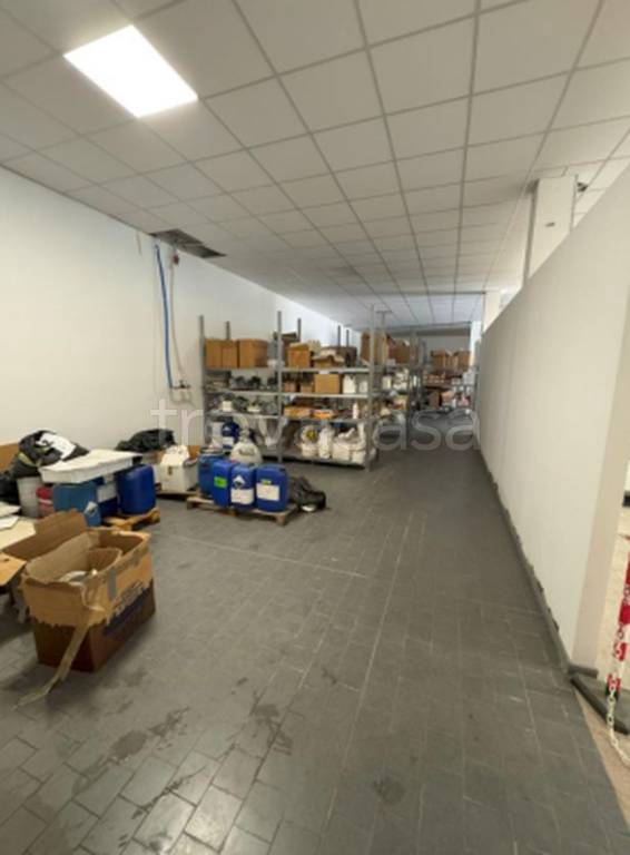 immagine annuncio 4 di 11