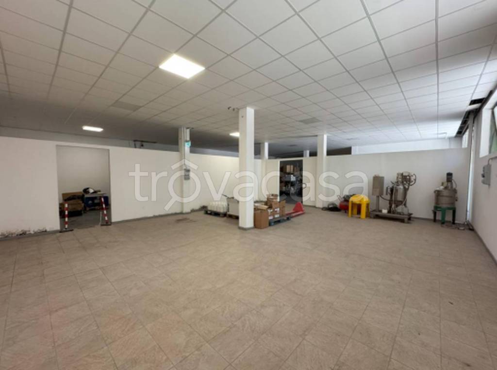 immagine annuncio 5 di 11