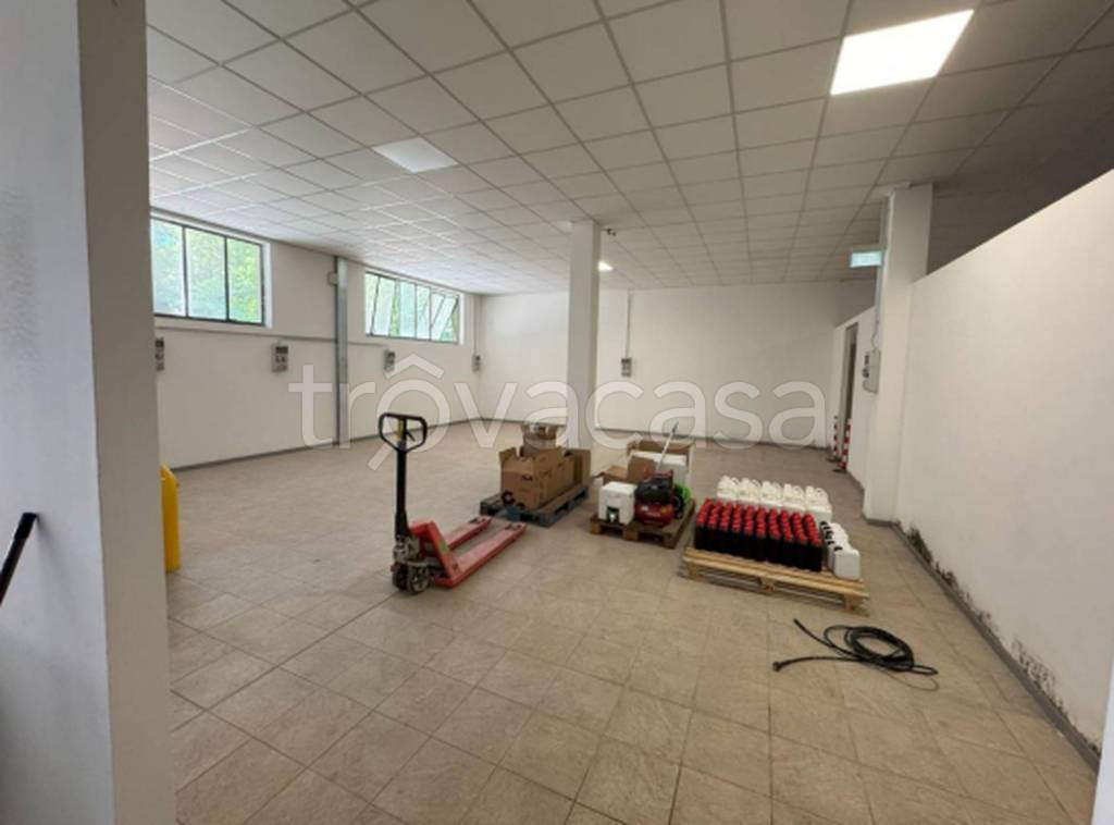 immagine annuncio 6 di 11