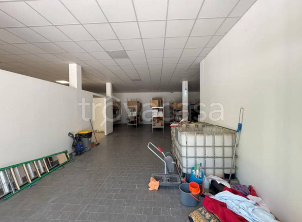 immagine annuncio 7 di 11