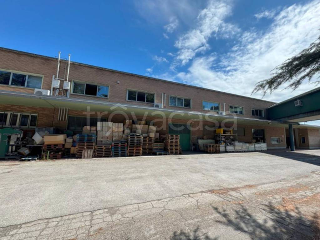 immagine annuncio 10 di 11