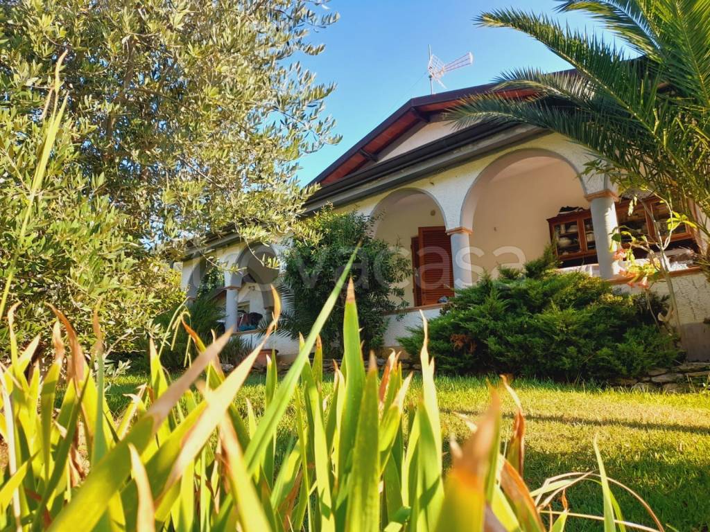 immagine annuncio 1 di 7