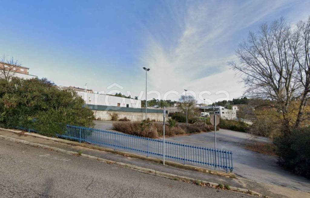 immagine annuncio 6 di 11