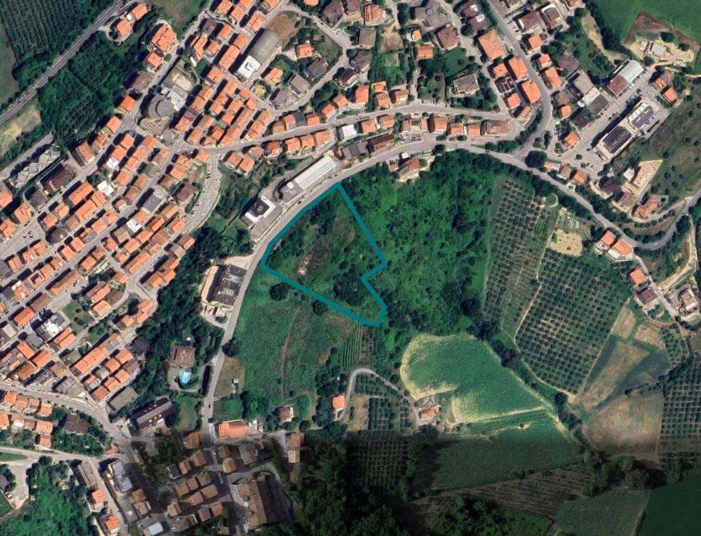 immagine annuncio 7 di 13