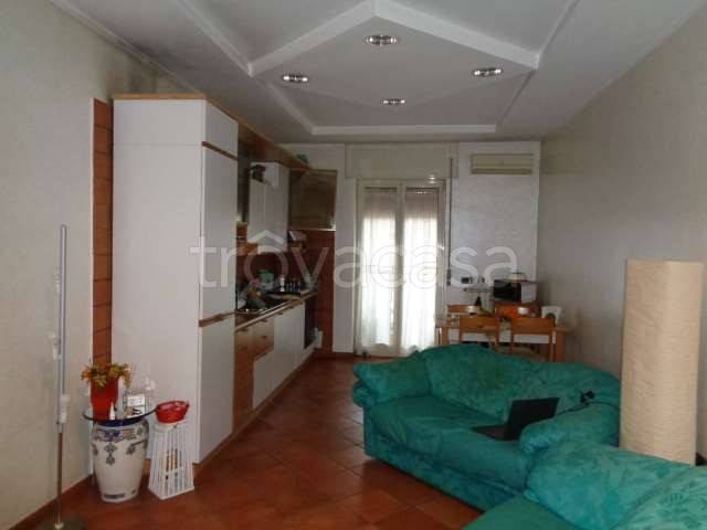 immagine annuncio 6 di 14