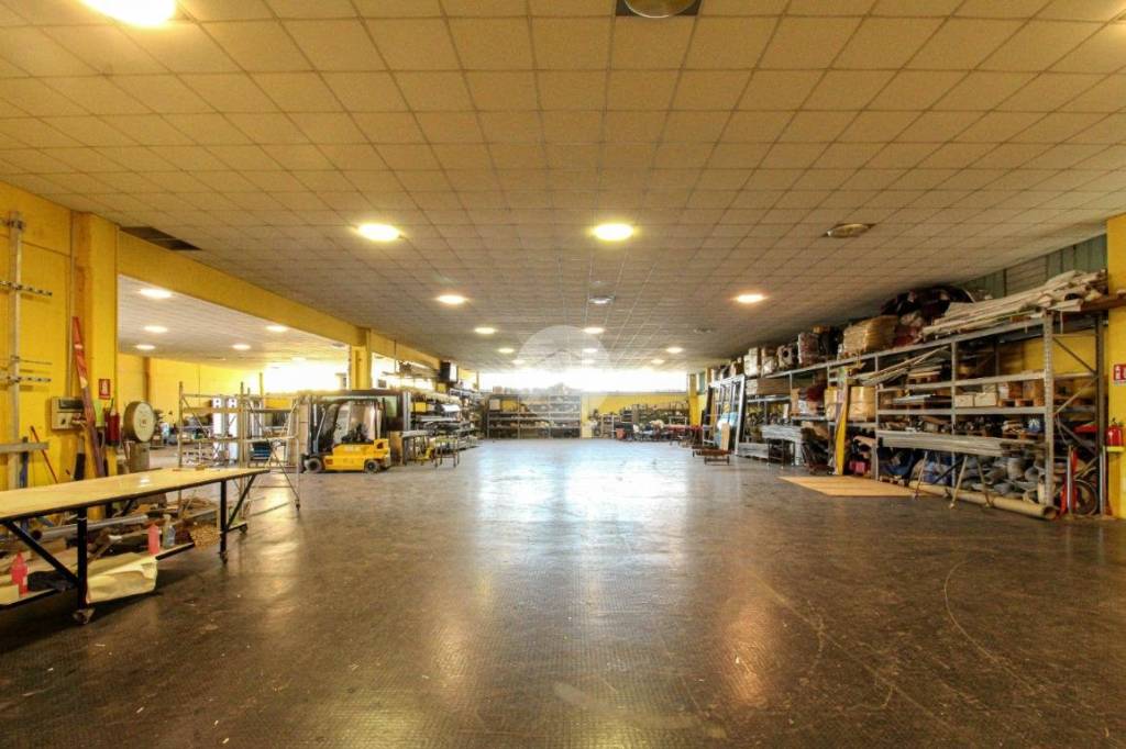 immagine annuncio 9 di 15