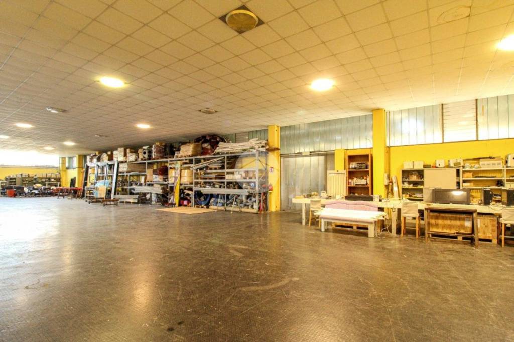 immagine annuncio 11 di 15