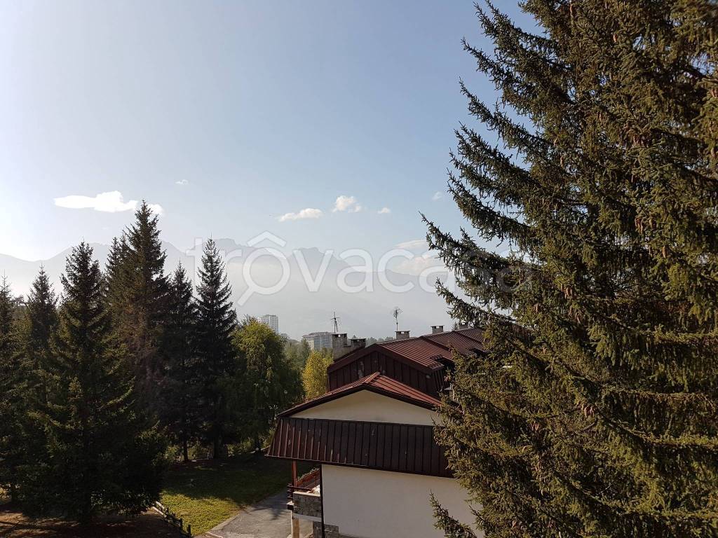 immagine annuncio 9 di 14