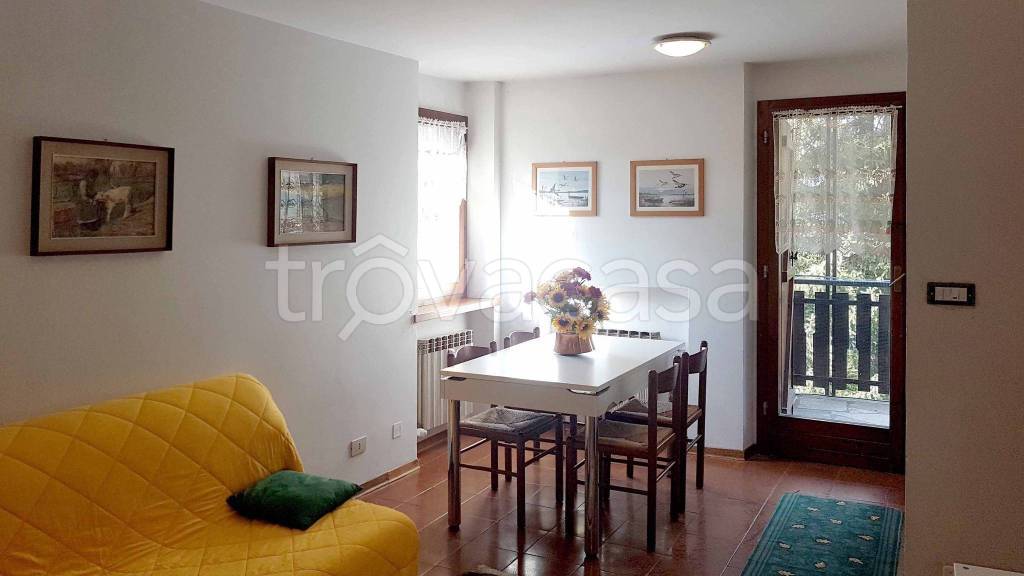 immagine annuncio 1 di 14