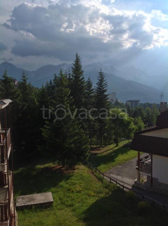 immagine annuncio 8 di 14