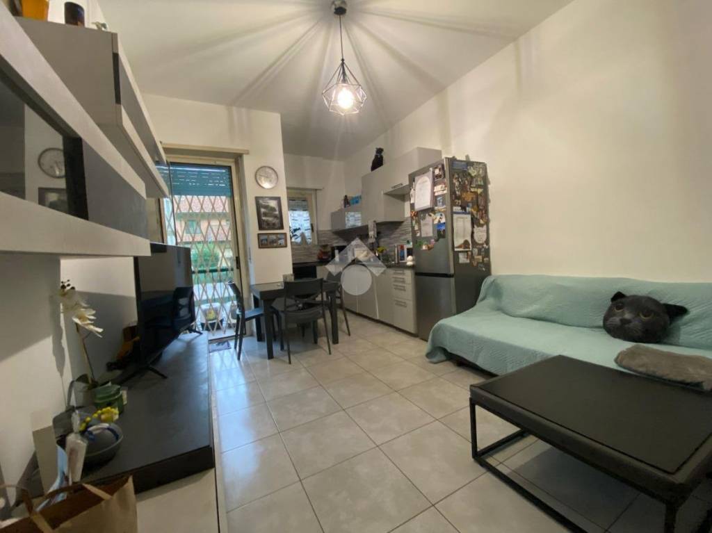 immagine annuncio 5 di 13