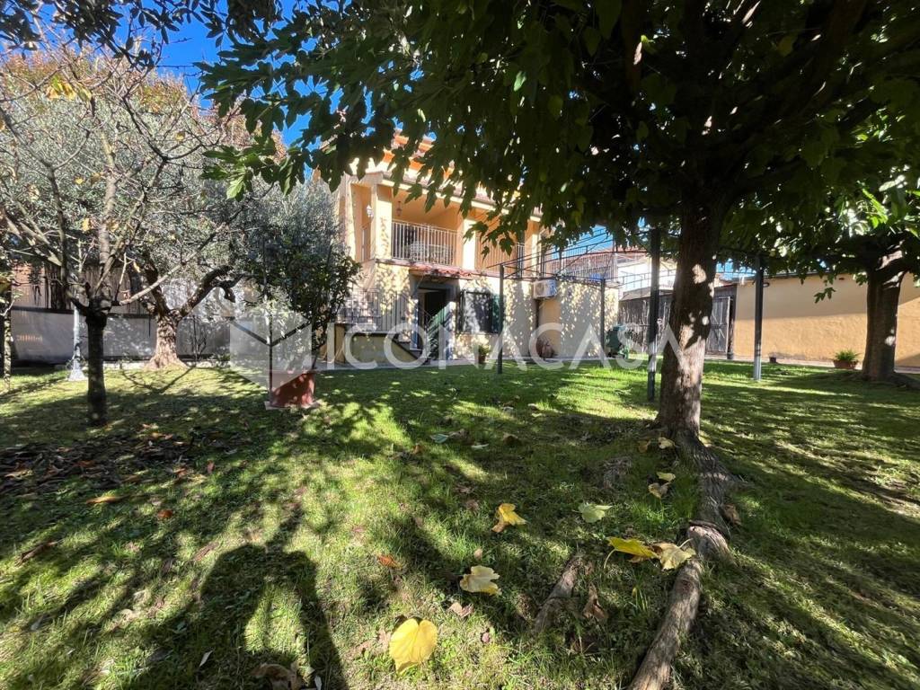 immagine annuncio 4 di 15