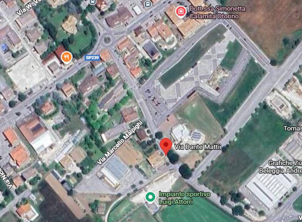 immagine annuncio 7 di 11