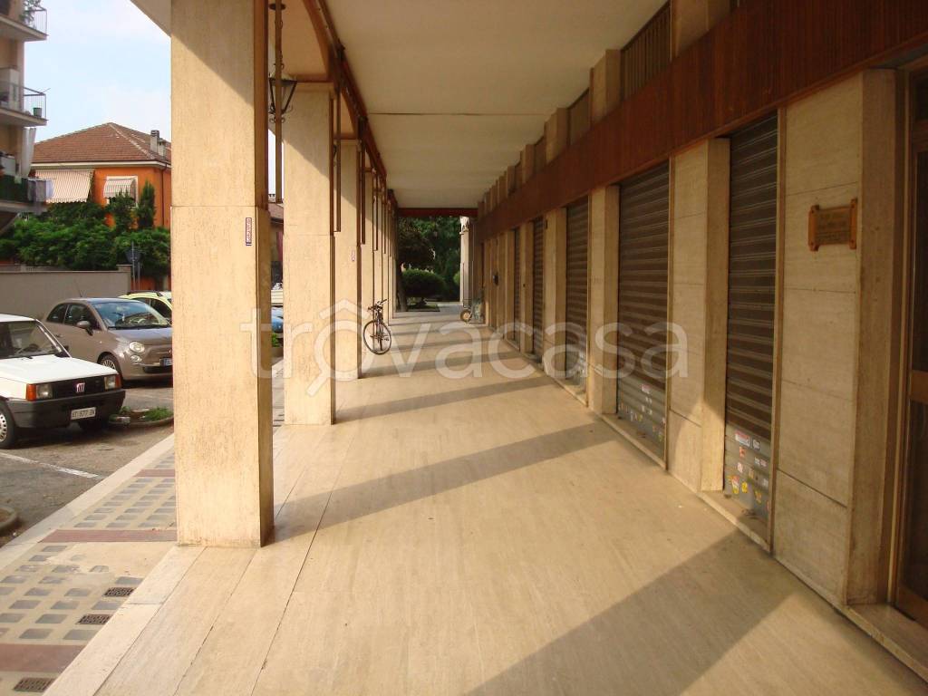 immagine annuncio 4 di 12