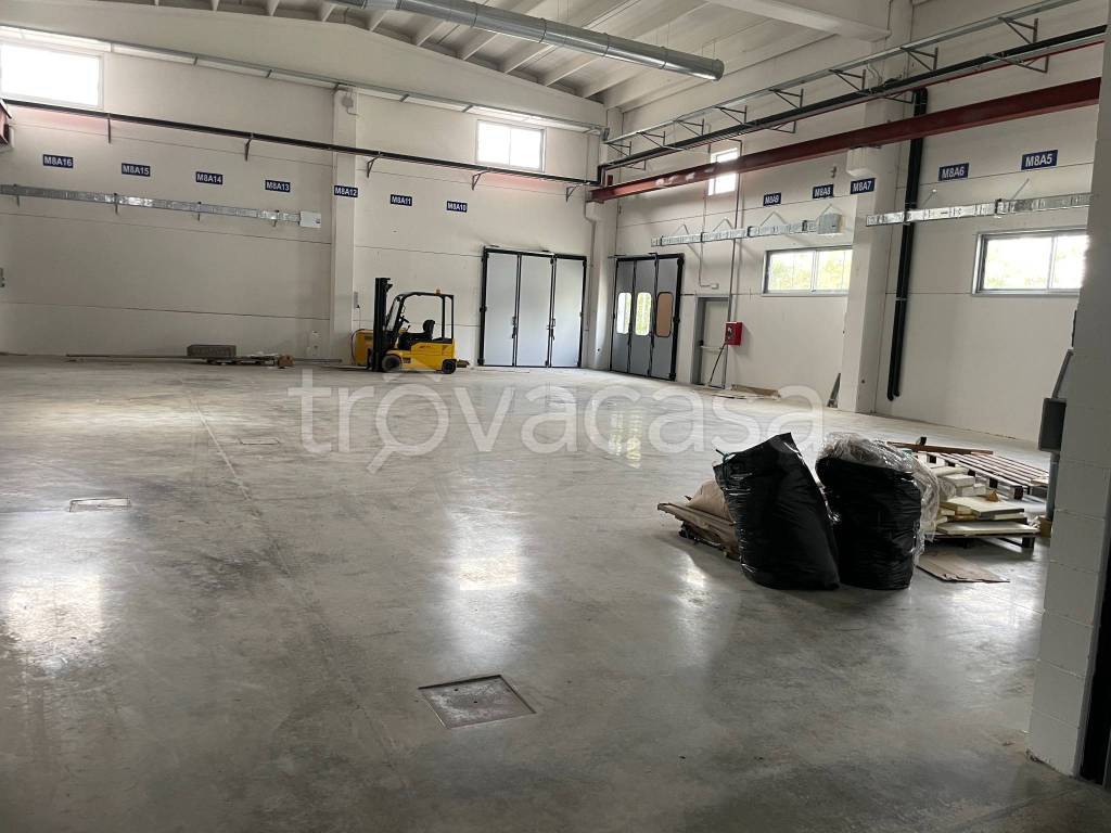 immagine annuncio 7 di 11