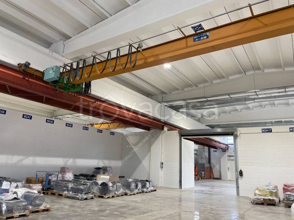 immagine annuncio 8 di 11