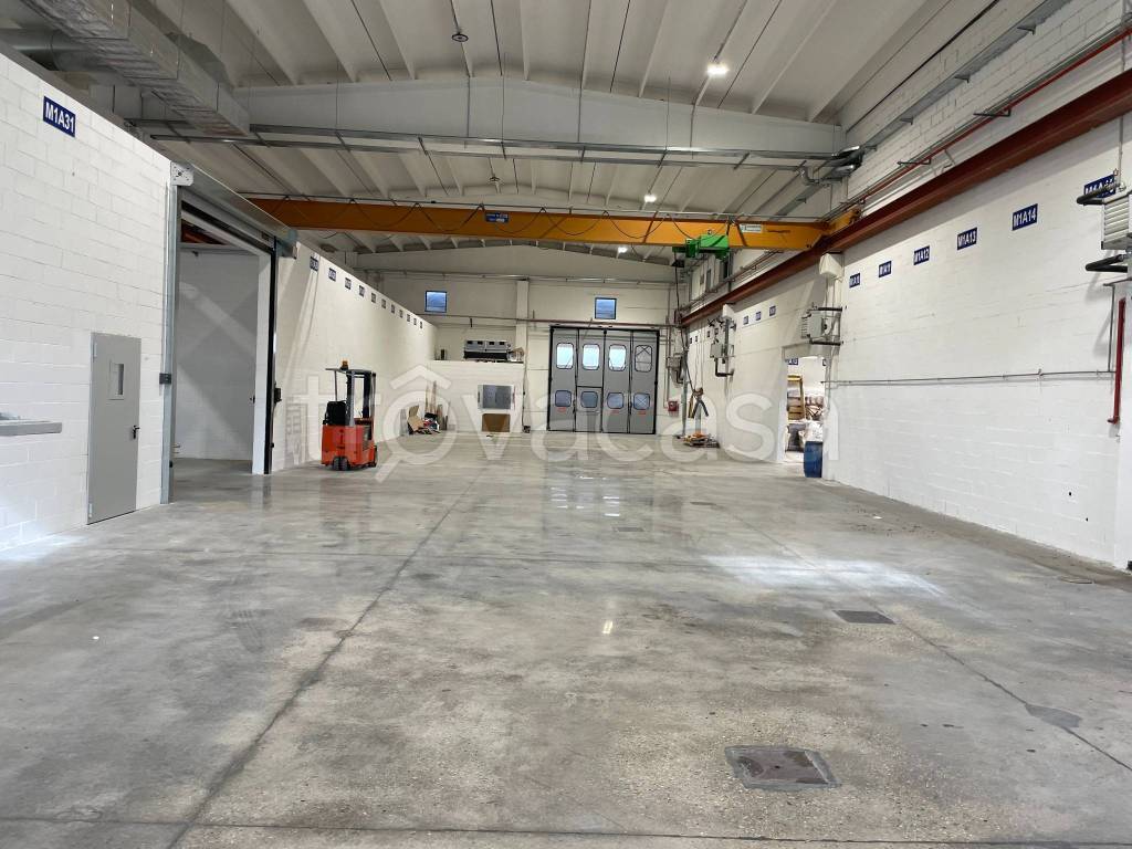 immagine annuncio 9 di 11